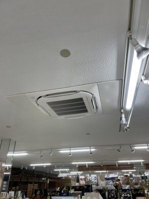 image1.jpeg